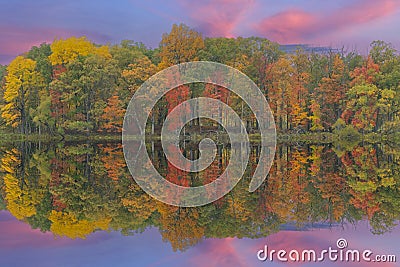 Autumn Reflections Pond Lily Lake at Dawn Stock Photo