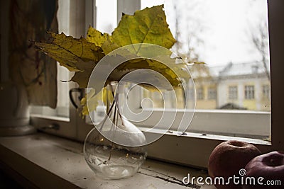 Autumn reflections. unrequited love. Stock Photo