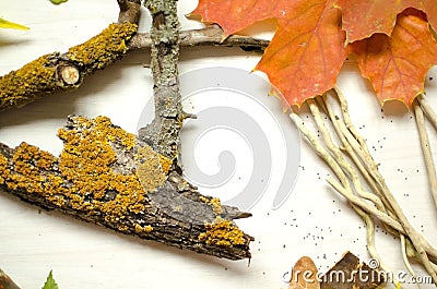 Autumn requisite on the white wooden background. Orange, yellow Stock Photo