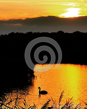 Autumn Reserve Yorkshire Stock Photo