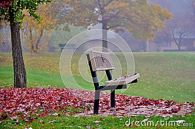 Autumn rest. Stock Photo