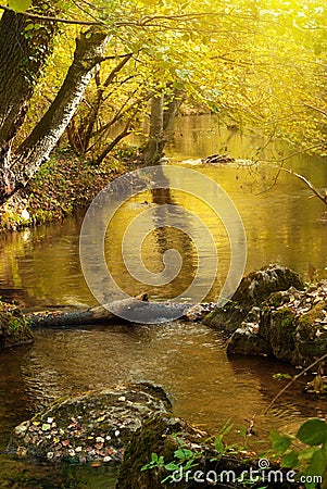 Autumn river Stock Photo