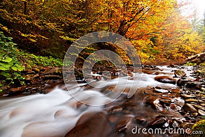 Autumn River Stock Photo