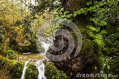 Autumn river in Can Batlle, La Garrotxa, Spain Stock Photo