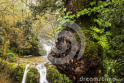 Autumn river in Can Batlle, La Garrotxa, Spain Stock Photo