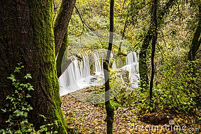 Autumn river in Can Batlle, La Garrotxa, Spain Stock Photo