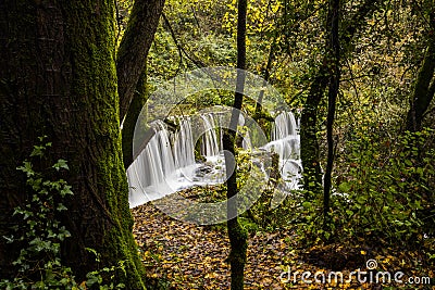 Autumn river in Can Batlle, La Garrotxa, Spain Stock Photo