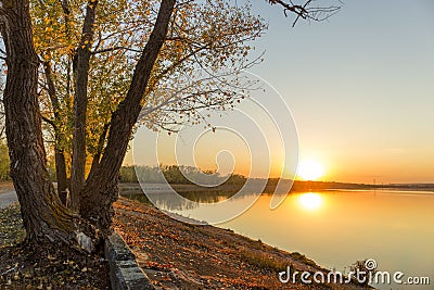Autumn river tree sunset. Stock Photo