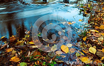 Autumn river and waterfalls, fallen yellow leaves in the water of the backwater. Autumn view of the lake. Stock Photo