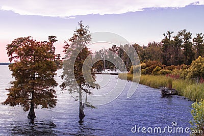 Autumn on the Riverbank Stock Photo