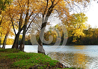 Autumn Riverbank Landscape Stock Photo