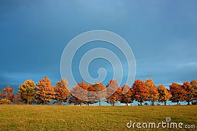 Autumn road Stock Photo