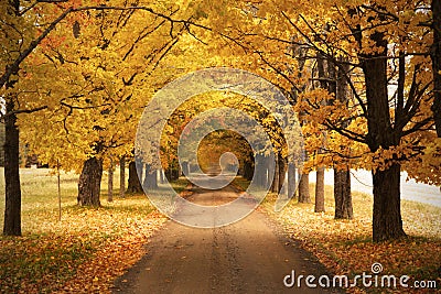 Autumn road Stock Photo