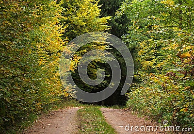 Autumn road Stock Photo