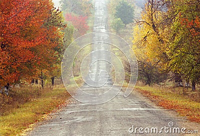 Autumn road Stock Photo