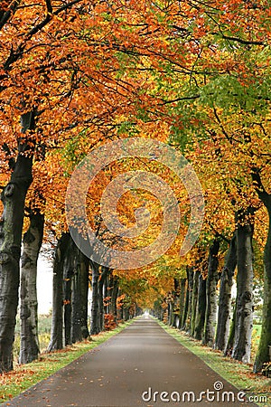 Autumn road Stock Photo