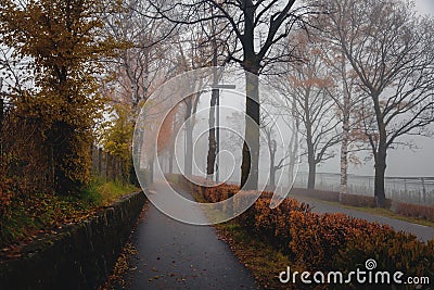 Autumn road and sidewalk in fog after rain. Beautiful landscape Stock Photo