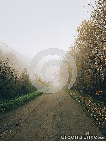 Autumn road in woods with fall leaves in foggy cold morning. Mist in autumn forest. Tranquil moment. Hello fall. Atmospheric Stock Photo