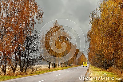 Autumn road among yellow trees Stock Photo