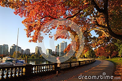 Autumn Run, Stanley Park Seawall, Vancouver Stock Photo