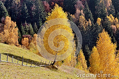 Autumn rural landscape Stock Photo