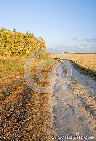 Autumn rural road and field Stock Photo