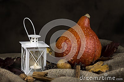 Autumn rustic still life with pumpkin, white lantern and dried l Stock Photo