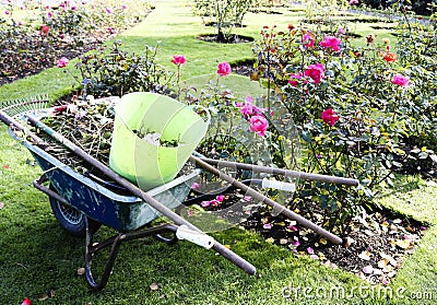 Autumn`s seasonal garden leaf cleaning. Stock Photo