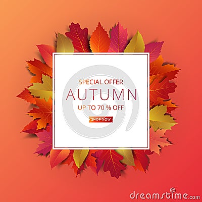 Autumn sale banner layout template decorate with maple and realistic leaves in warm color tone Cartoon Illustration