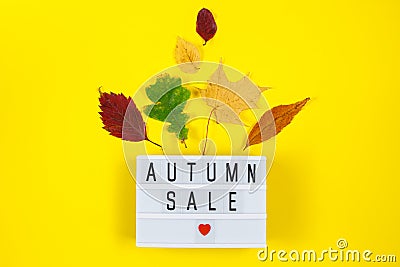 Autumn sale concept. Promotional discount banner on background of yellow fallen leaves. Stock Photo