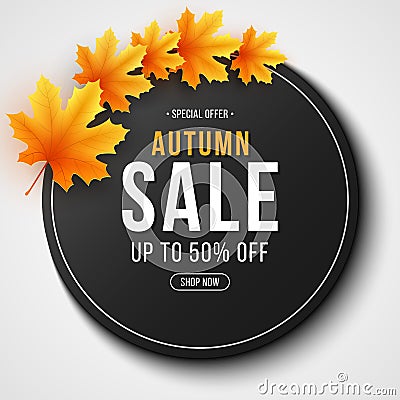 Autumn sale label. Invitation gift card. Web banner with lettering. Seasonal round banner with autumn leaves. Maple leaf. Seasonal Vector Illustration