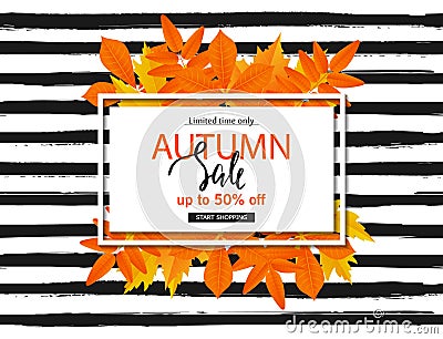 Autumn sale poster with fall leaves on striped background. Vector illustration for website and mobile website banners Vector Illustration