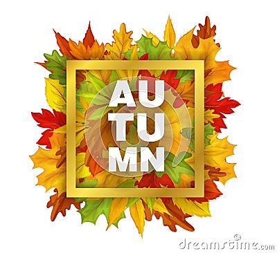 Vector autumn sale with falling leaves pattern Vector Illustration