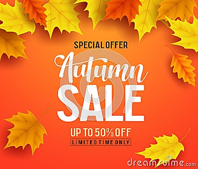 Autumn sale vector banner background with fall leaves elements Vector Illustration