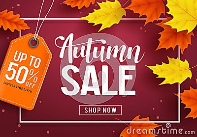 Autumn sale vector banner template with discount text and maple leaves elements Vector Illustration