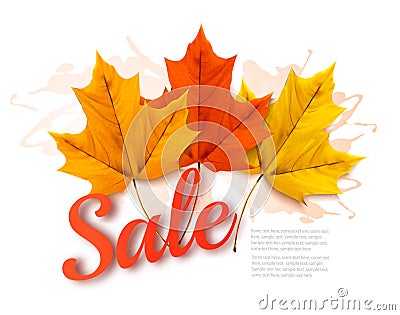 Autumn Sales banner with colorful leaves. Vector Illustration