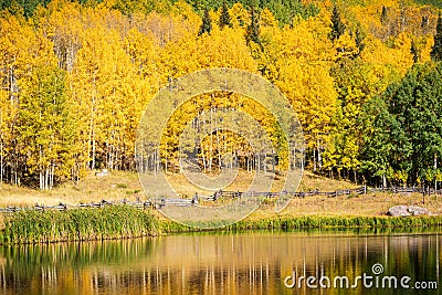 Autumn in the San Juan Mountains of Colorado. Aspen Trees With Shadows and Reflections on a Mountian Lake Stock Photo