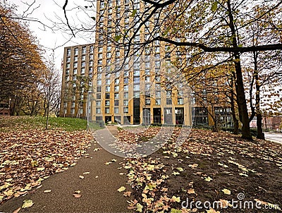 Autumn scene, with a high rise building, old trees, and fallen leaves near, Belgrave Street, Leeds, UK Stock Photo