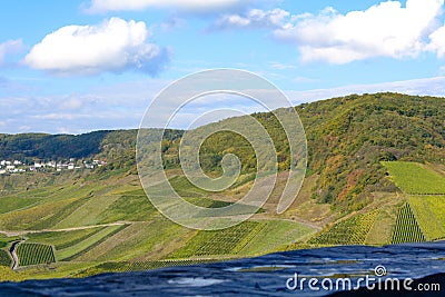 Autumn scene of vinyards near the river Moesel Stock Photo