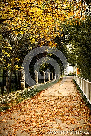 Autumn scenery Stock Photo