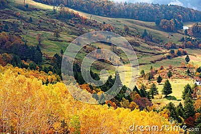 Autumn scenery of colorful forests by the mountainside and green grassy meadows in a valley on a brisk fall day in Shiga Kogen Stock Photo