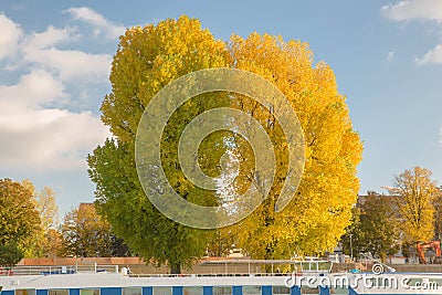 Autumn scenery Stock Photo
