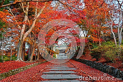Autumn scenery at the entrance Sandou to Bishamon Hall Bishamondo Stock Photo