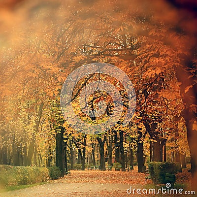 Autumn scenery in park Stock Photo