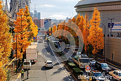 Autumn scenery of a street by Tokyo Dome, with golden Ginkgo Gingko or Maidenhair trees lining up the roadsides and a Ferris W Editorial Stock Photo