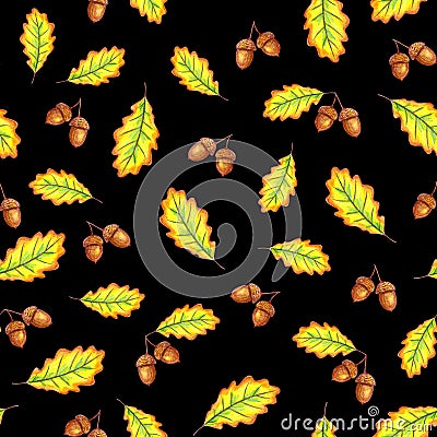 Oak leaves and nuts Stock Photo