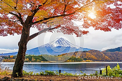 Autumn Season and Fuji mountains at Kawaguchiko lake, Japan Stock Photo