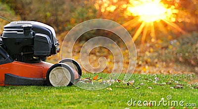 Autumn season, lawn mowing in the garden. Stock Photo