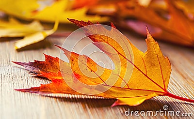 Autumn. Seasonal photo. Autumn leaves loose on a wooden board Stock Photo