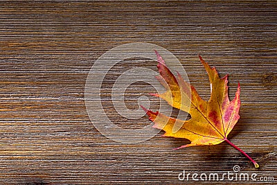 Autumn. Seasonal photo. Autumn leaves loose on a wooden board. Free space for your text products and informations Stock Photo